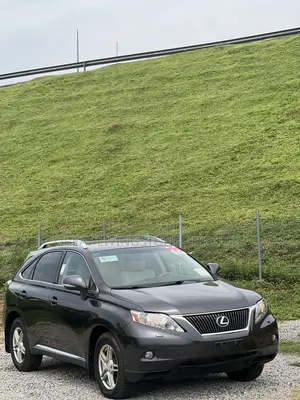Lexus RX 350 2010 Brown