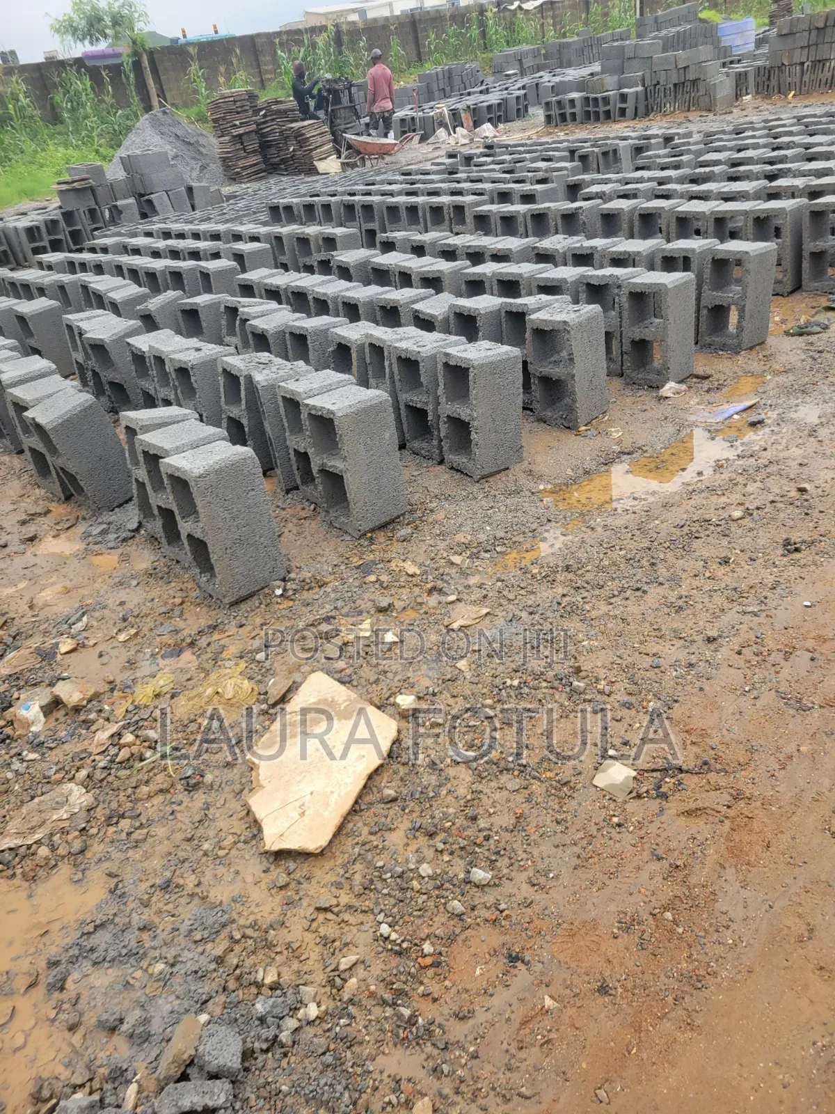 Dangote Cement Distributor Nationwide