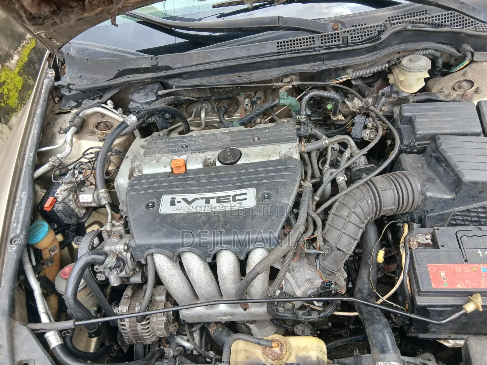 Honda Accord 2004 Gold