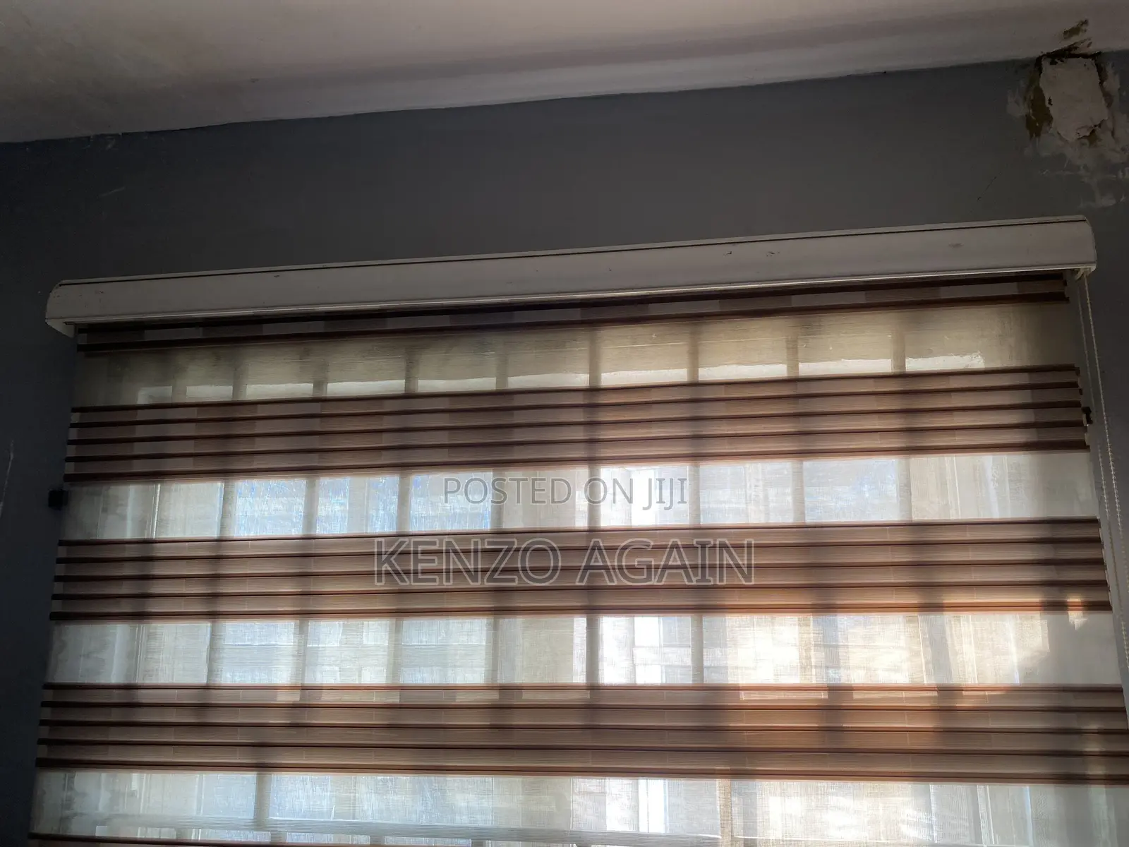 Window Blinds