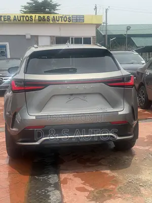 Lexus NX 350 AWD 2024 Gray