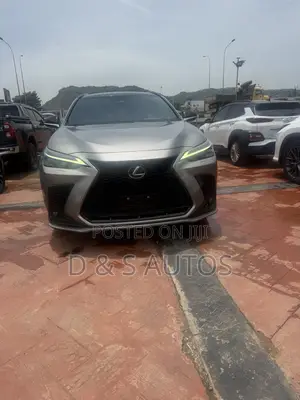 Lexus NX 350 AWD 2024 Gray