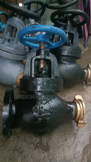 Globe Hose Valve Cast Iron Flange and Coupling 65mm