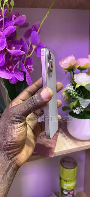 Apple iPhone 15 Pro Max 256 GB Silver