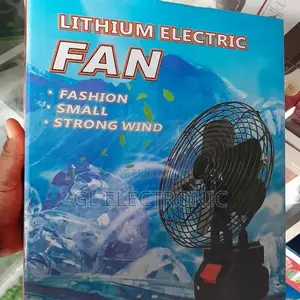 Lithium Electric Fan