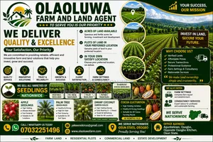 Farm Land and Seedlings