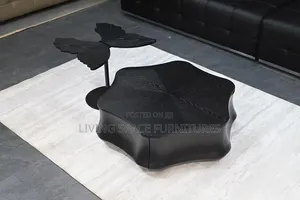 Quality Coffee Table 2in1 Set