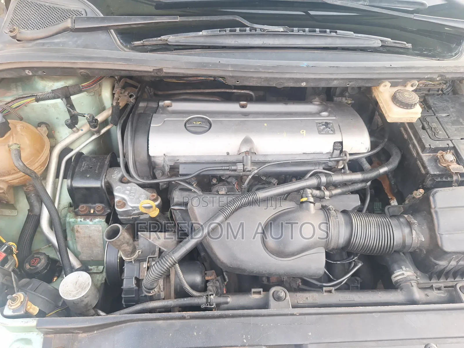 Peugeot 307 2010 Green