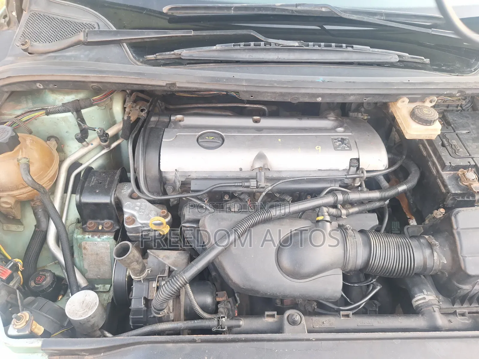 Peugeot 307 2010 Green