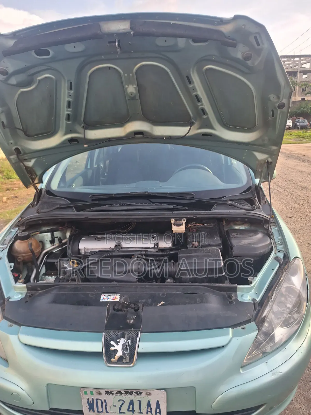 Peugeot 307 2010 Green