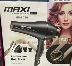 Maxi Professional Dryer