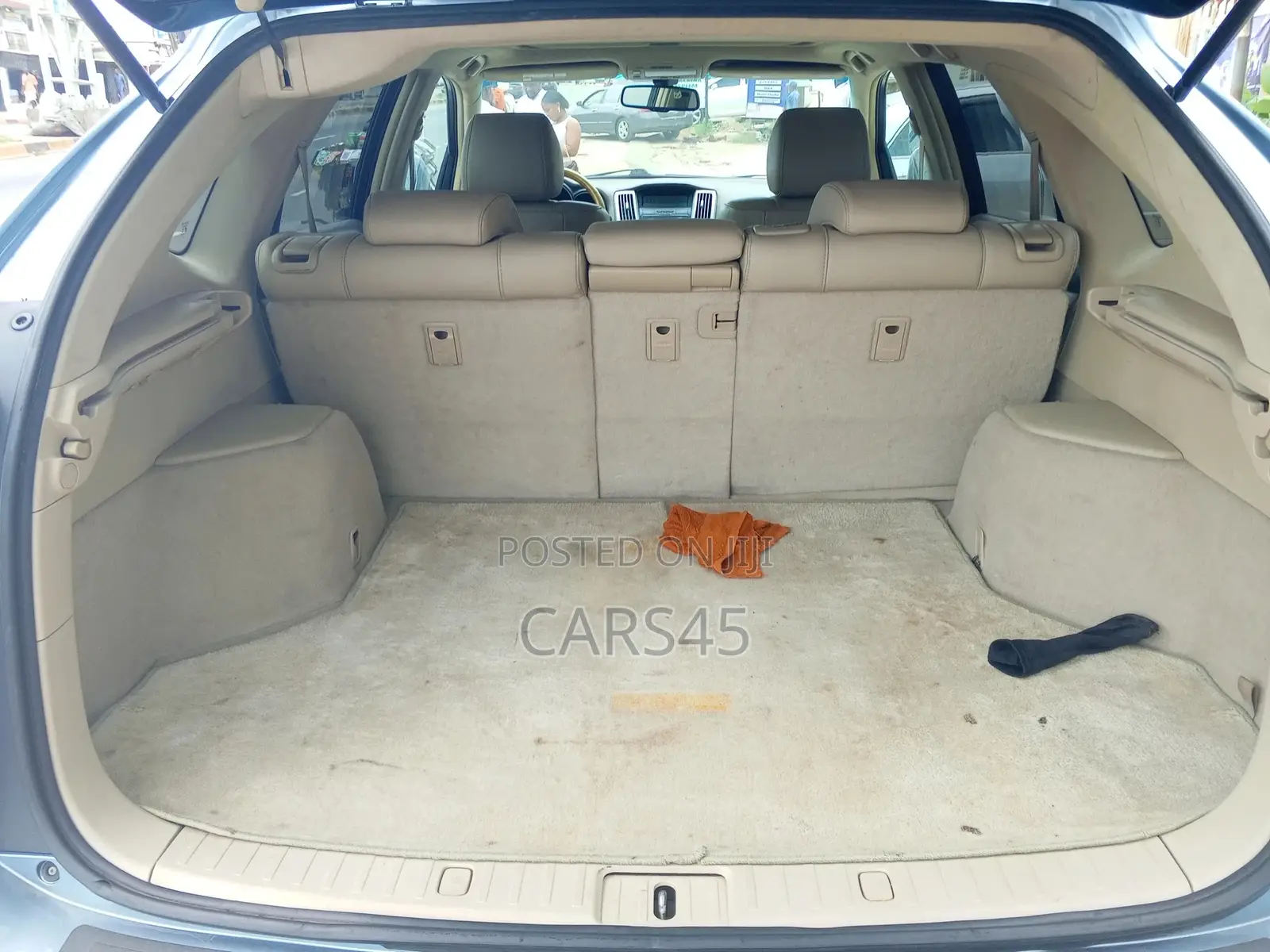 Lexus RX 2009 Blue