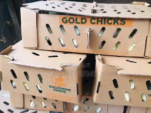 Poultry Birds and Equipment Distributors