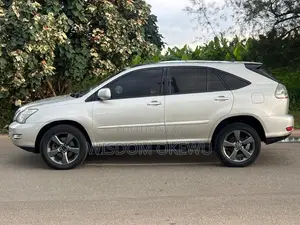Lexus RX 330 AWD 2006 Gray
