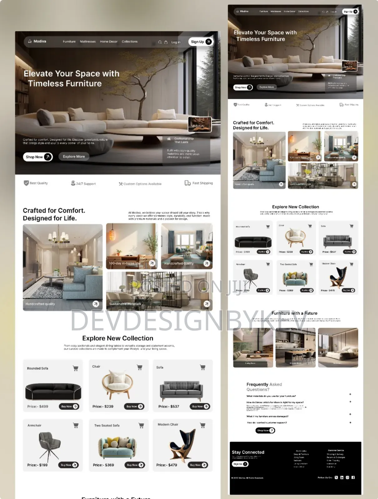 Professional Website Design Development