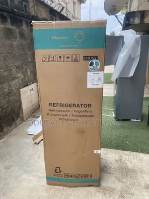 HISENSE REF306DR Refrigerator With Big Storage
