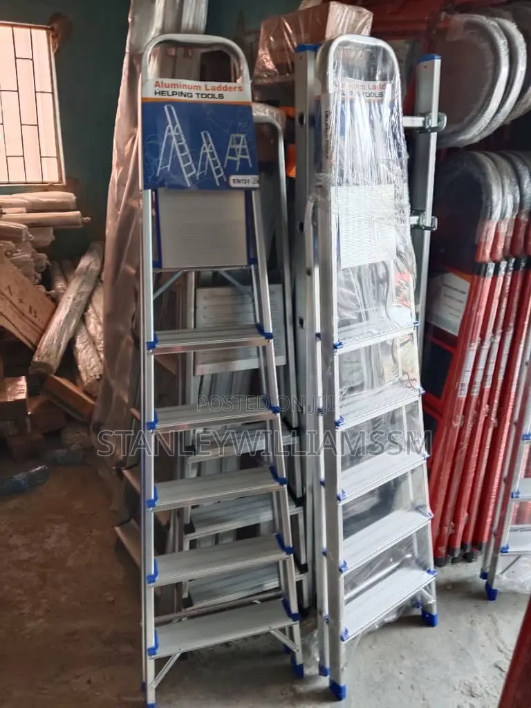5ft and 6ft Ladder