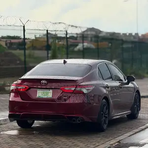 Toyota Camry SE (2.5L 4cyl 8A) 2019 Burgundy