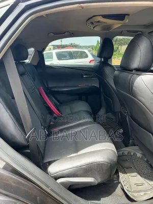 Lexus RX 2010 Gray