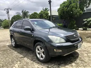 Lexus RX 330 2006 Gray