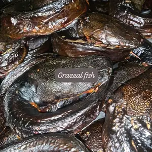 Orazeal Fish