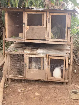 Cage for Sale in Ibadan