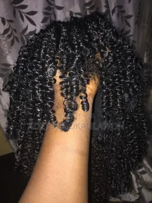 Black Curly Wig (Kinky Curly)