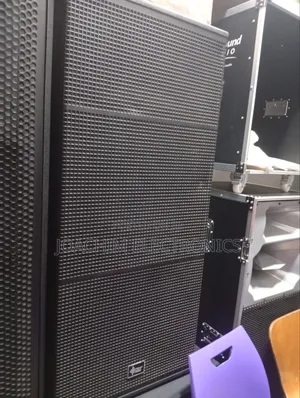 Ariz Sound Professional Double Speaker