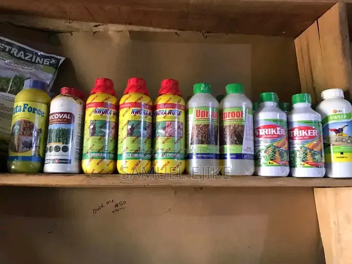 Cleaning and Fumigation Services