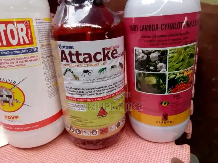 Cleaning and Fumigation Services