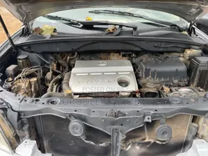 Lexus RX 2008 Gray