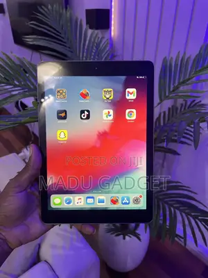 Apple iPad Air 16 GB Gray