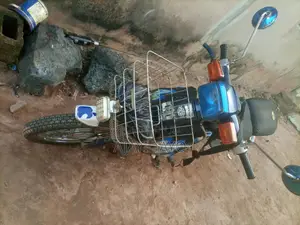 Honda 2007 Blue