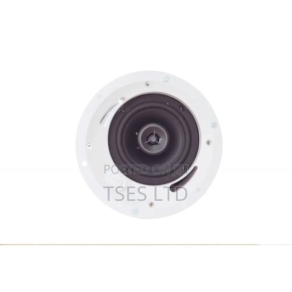 ZYCOO SC15 Network Ceiling Speaker