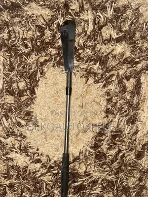 Telescopic Shoe Horn