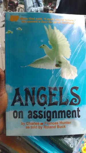 Angel on Assignment