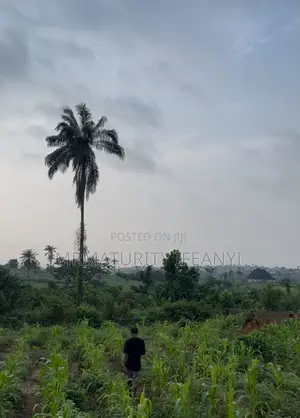 Land for Sale in Okpanam Asaba