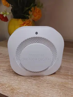 Gas Detector