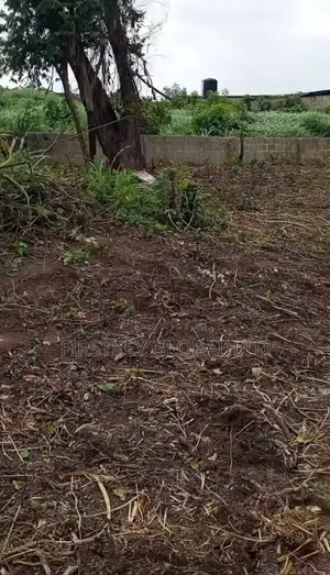 Half Plot of Land for Sale
