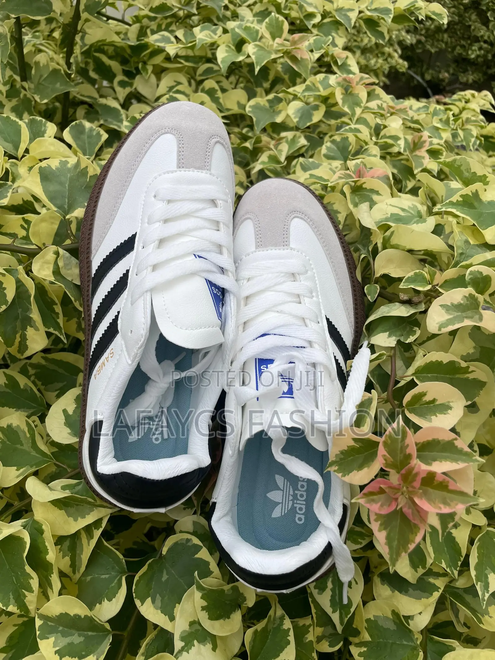 Adidas Samba