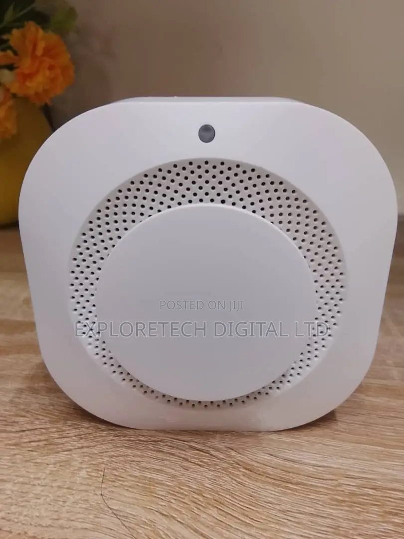 Gas Detector