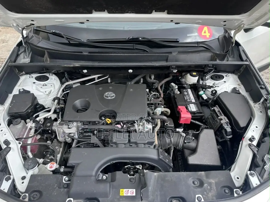 Toyota RAV4 2023 White