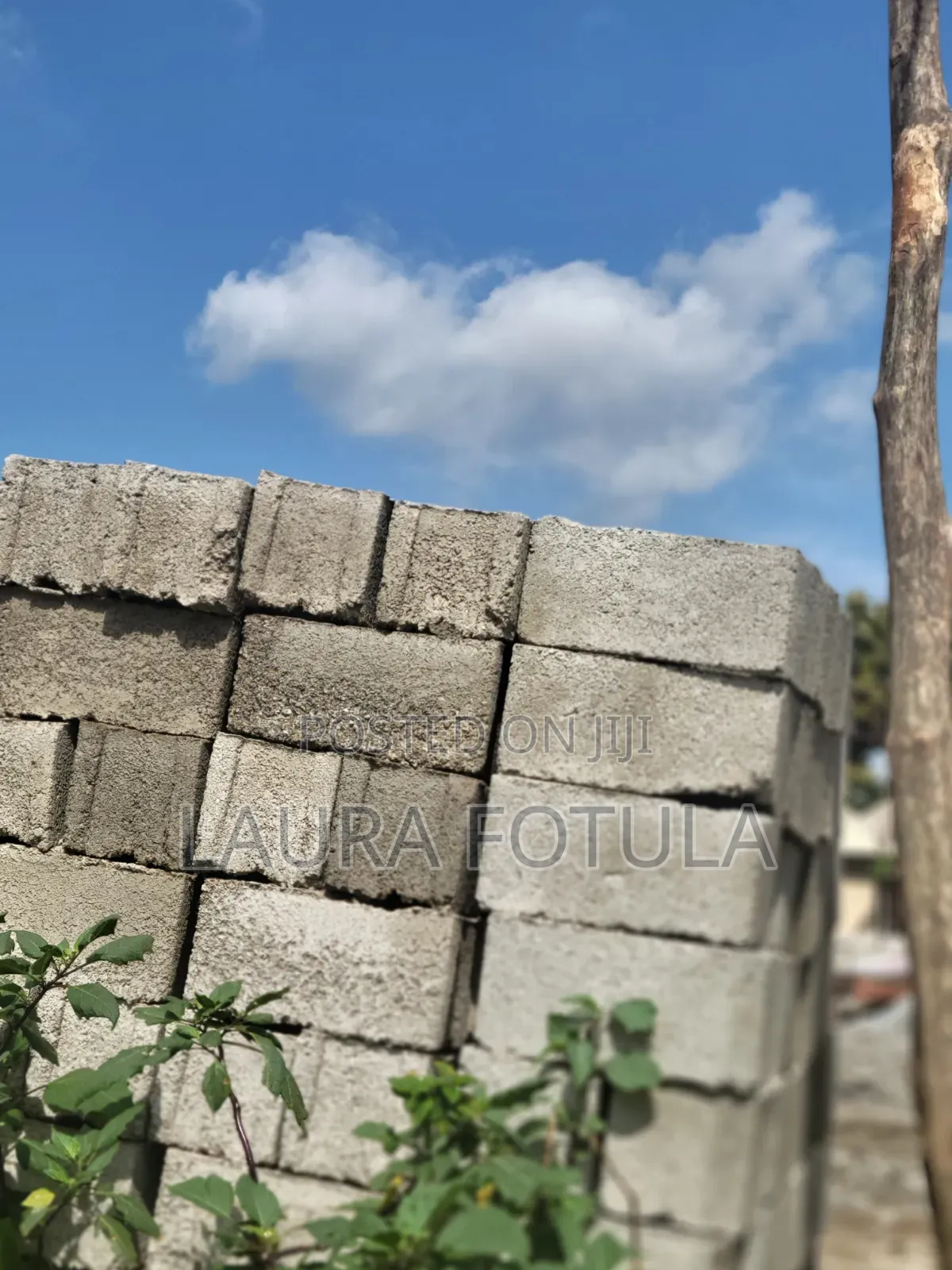 Dangote Cement Distributor Nationwide