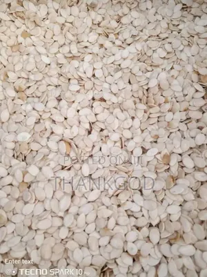 Fresh Dry Egusi for Sale – Wholesale & Retail