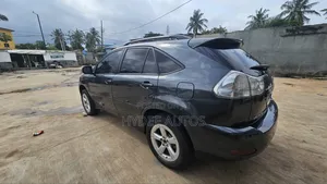 Lexus RX 2005 Gray