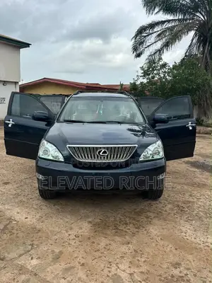 Lexus RX 330 2005 Gray