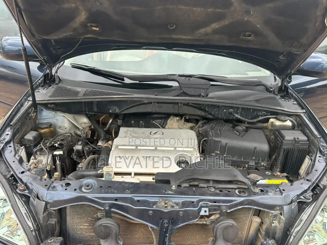 Lexus RX 330 2005 Gray