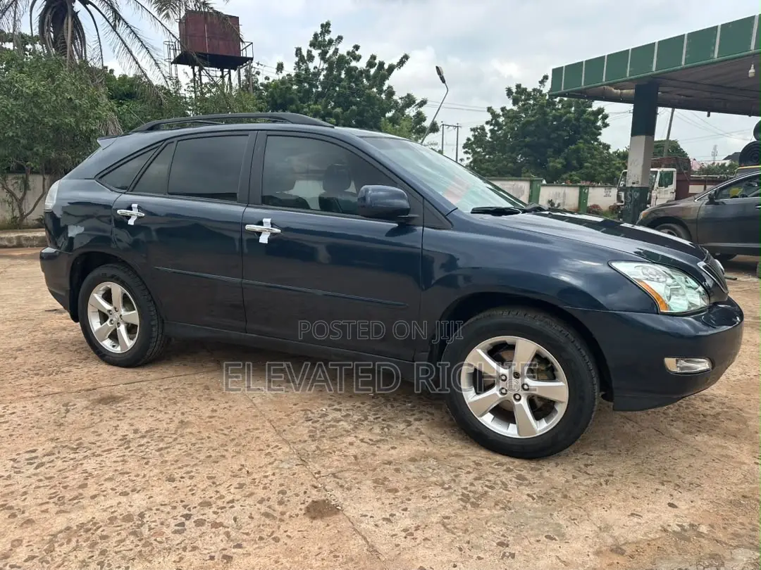 Lexus RX 330 2005 Gray