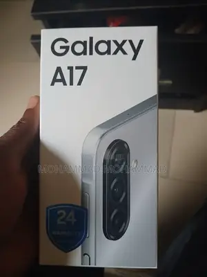 Samsung Galaxy A17 128 GB Gray
