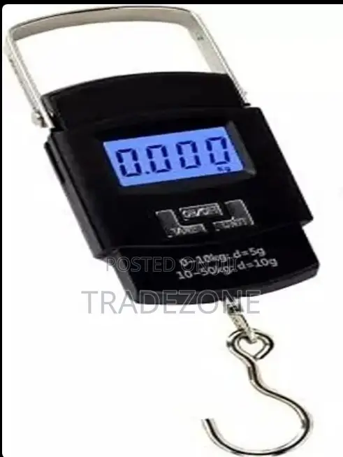 WH-A08 Portable Electronic Scale